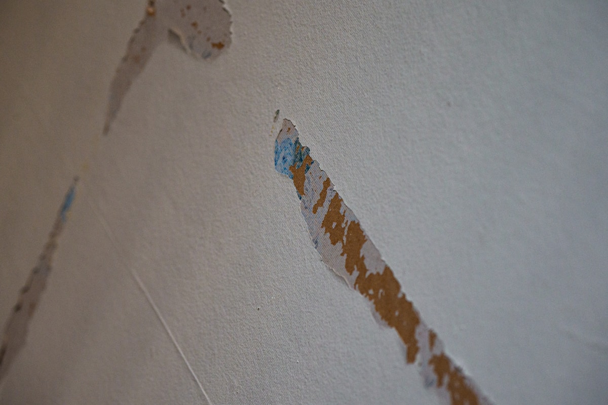 Basement Water Removal service in Suffolk, VA